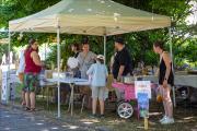 -Stephalbum-HD-IMG4694