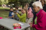2026100-Fete-Cendre-FL-47