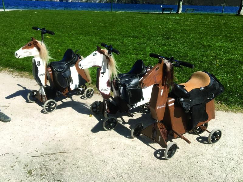 petits chevaux 1